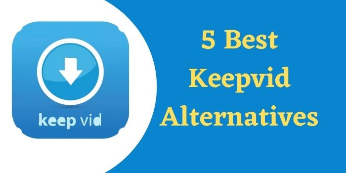 5 Best Keepvid Alternatives To Download Online Videos